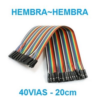 articulo10444